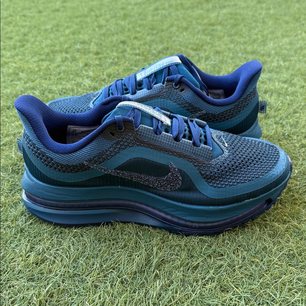 Nike Pegasus Premium